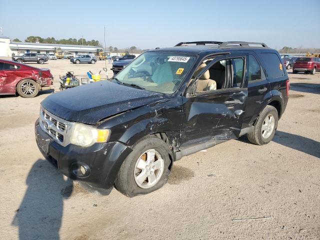 Photo 1 from auction – 2010 FORD ESCAPE XLT with VIN 1FMCU0DG0AKC95451