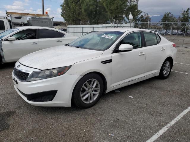 KIA OPTIMA LX 2011 with VIN KNAGM4A70B5117599 - Photo from auction