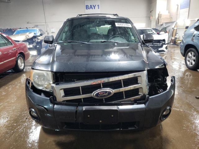 Photo 5 from auction – 2009 FORD ESCAPE XLT with VIN 1FMCU03G09KA88295