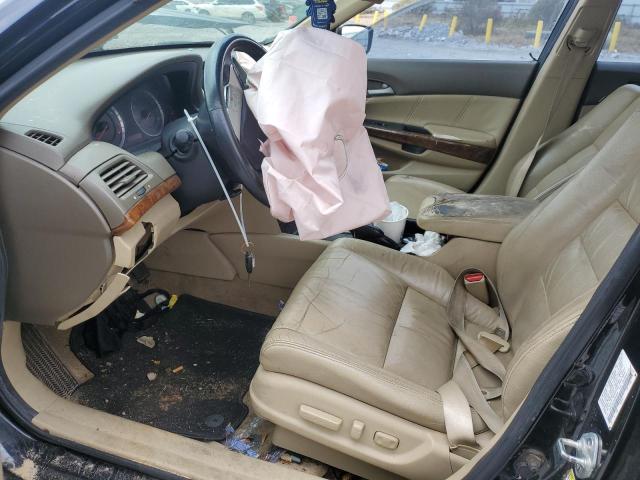 Photo 7 from auction – 2010 HONDA ACCORD EXL with VIN 1HGCP2F87AA099530