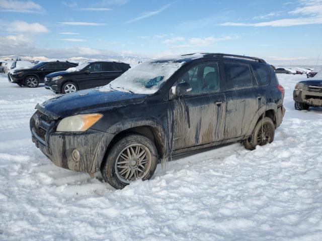 TOYOTA RAV4 LIMIT 2009 with VIN JTMBK31V19D008418 - Photo from auction