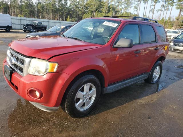 FORD ESCAPE XLT 2009 with VIN 1FMCU03G99KB86175 - Photo from auction