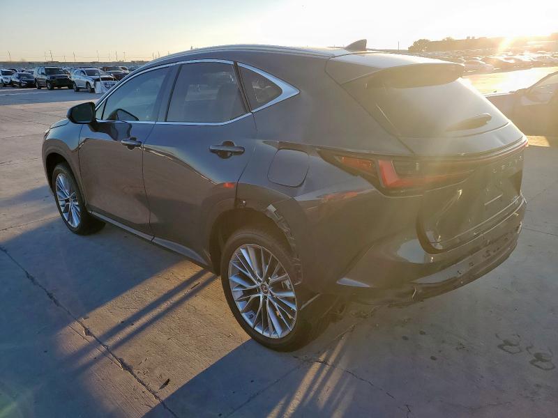 Photo 2 from auction – 2023 LEXUS NX 350 with VIN 2T2GGCEZ6PC023331