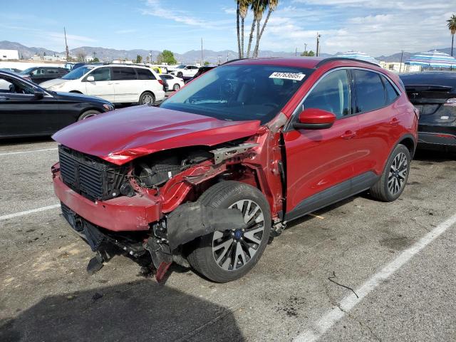 FORD ESCAPE SEL 2020 with VIN 1FMCU9H91LUA36295 - Photo from auction