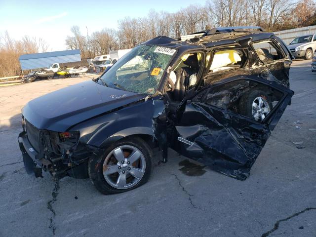 FORD ESCAPE LIMITE 2008 with VIN 1FMCU04118KC99272 - Photo from auction
