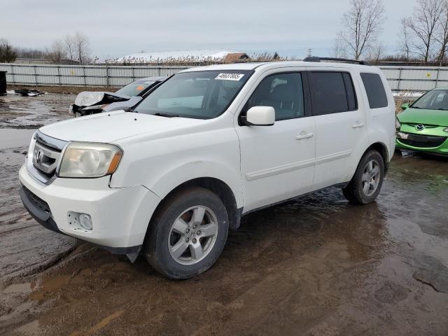 HONDA PILOT EXL 2011 with VIN 5FNYF4H51BB080311 - Photo from auction