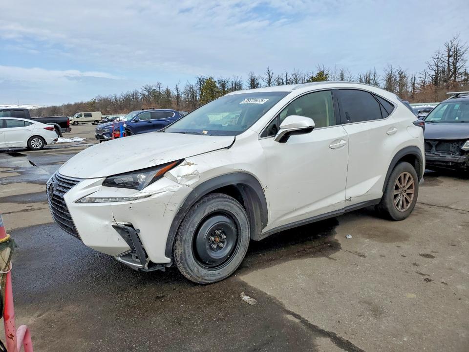 LEXUS NX 2019 with VIN JTJYARBZ0K2156933 - Photo from auction
