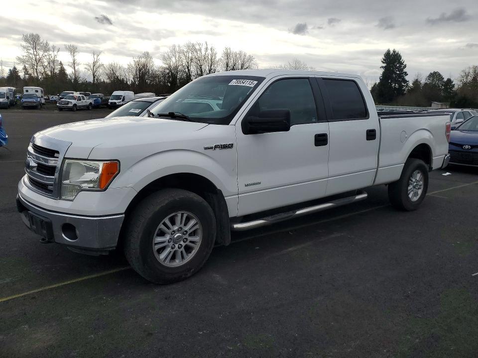 FORD F150 2013 with VIN 1FTVW1ET5DKD17490 - Photo from auction
