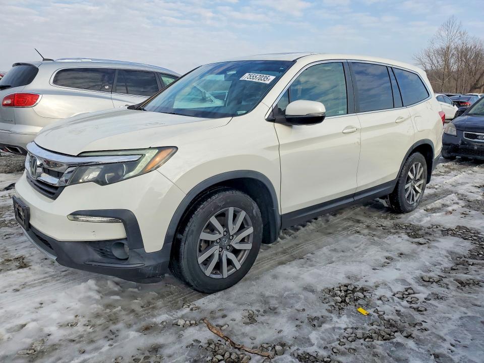 HONDA PILOT EXL 2019 with VIN 5FNYF6H46KB023735 - Photo from auction