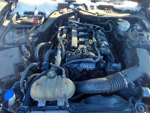 Photo 7 from auction – 2021 FORD MUSTANG with VIN 1FA6P8TH7M5127526