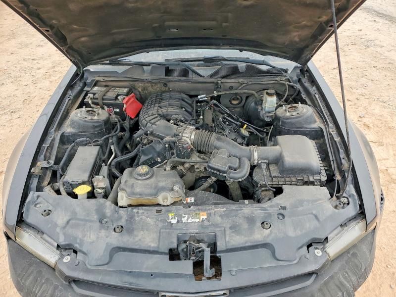 Photo 11 from auction – 2012 FORD MUSTANG with VIN 1ZVBP8AM7C5221863