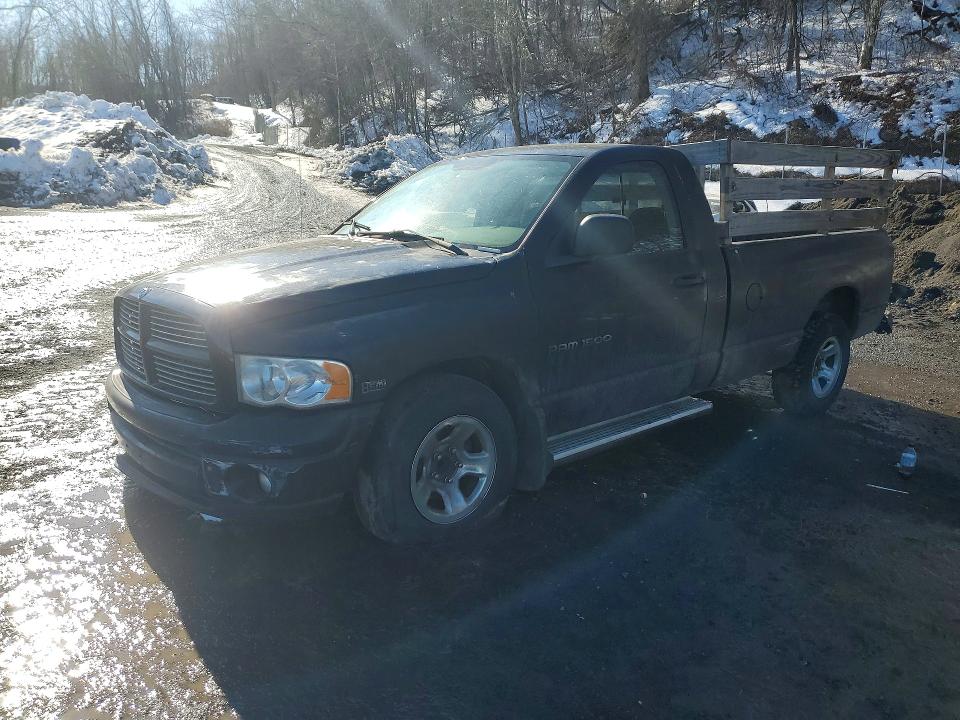 DODGE RAM 1500 2003 with VIN 1D7HA16DX3J653813 - Photo from auction
