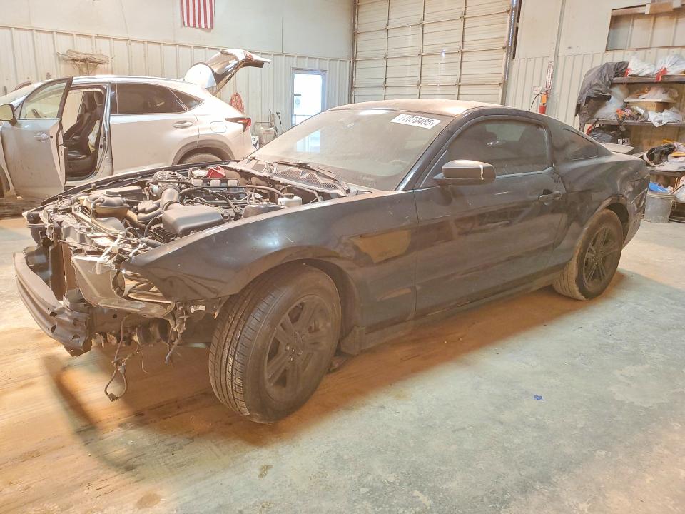 Photo 1 from auction – 2014 FORD MUSTANG with VIN 1ZVBP8AM4E5309353
