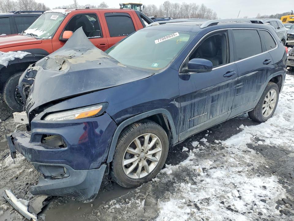 JEEP CHEROKEE 2014 with VIN 1C4PJMDS2EW198017 - Photo from auction