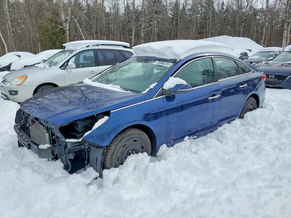 HYUNDAI SONATA 2015 with VIN 5NPE24AF4FH209649 - Photo from auction