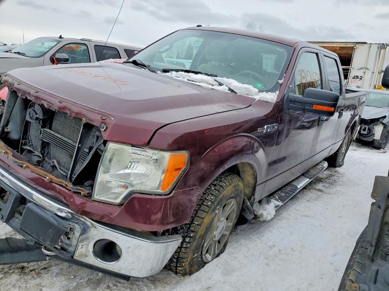 FORD F150 2010 with VIN 1FTFW1E81AFB10549 - Photo from auction