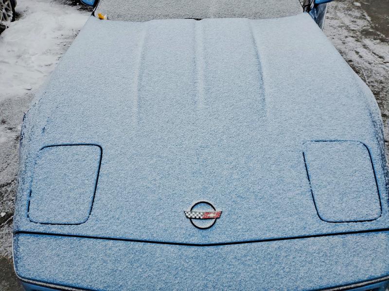 Photo 11 from auction – 1989 CHEVROLET CORVETTE with VIN 1G1YY2187K5119741