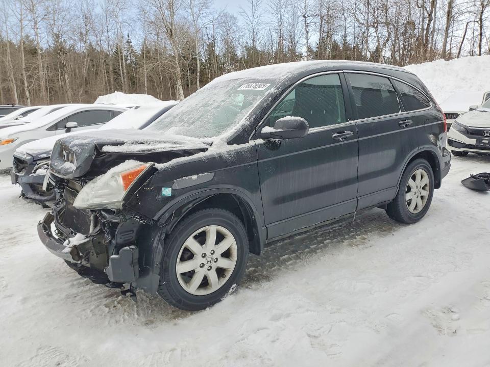 Photo 1 from auction – 2010 HONDA CR-V with VIN 5J6RE3H33AL801637