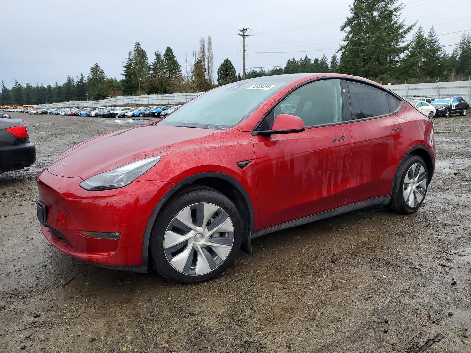 TESLA MODEL Y 2024 with VIN 7SAYGDEE4RF039511 - Photo from auction