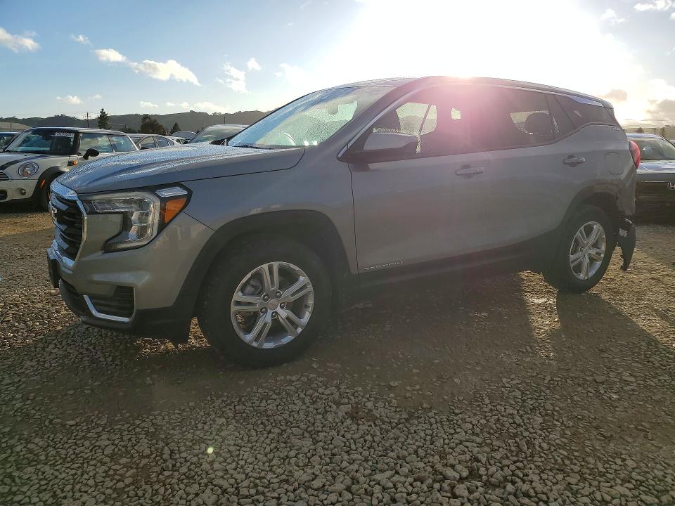 GMC TERRAIN 2024 with VIN 3GKALMEG2RL294398 - Photo from auction