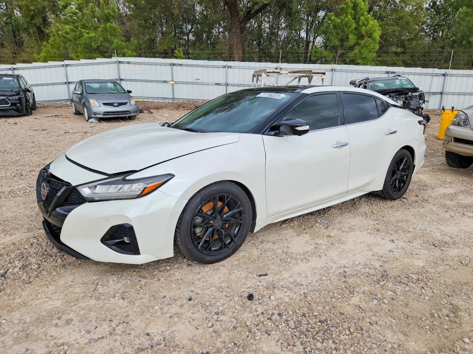 NISSAN MAXIMA 2019 with VIN 1N4AA6AV1KC362893 - Photo from auction