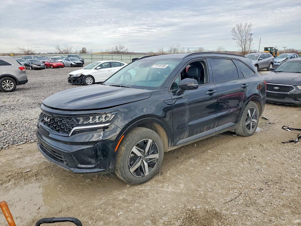 KIA SORENTO 2023 with VIN 5XYRL4LCXPG229401 - Photo from auction