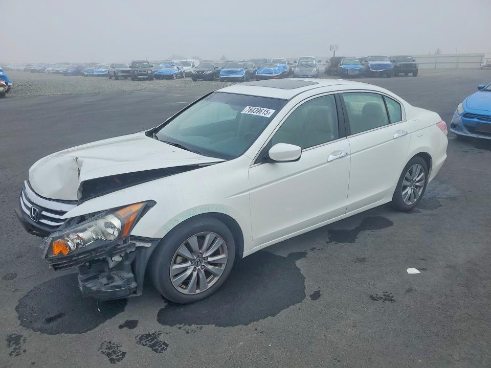 HONDA ACCORD EXL 2012 with VIN 1HGCP3F87CA031673 - Photo from auction