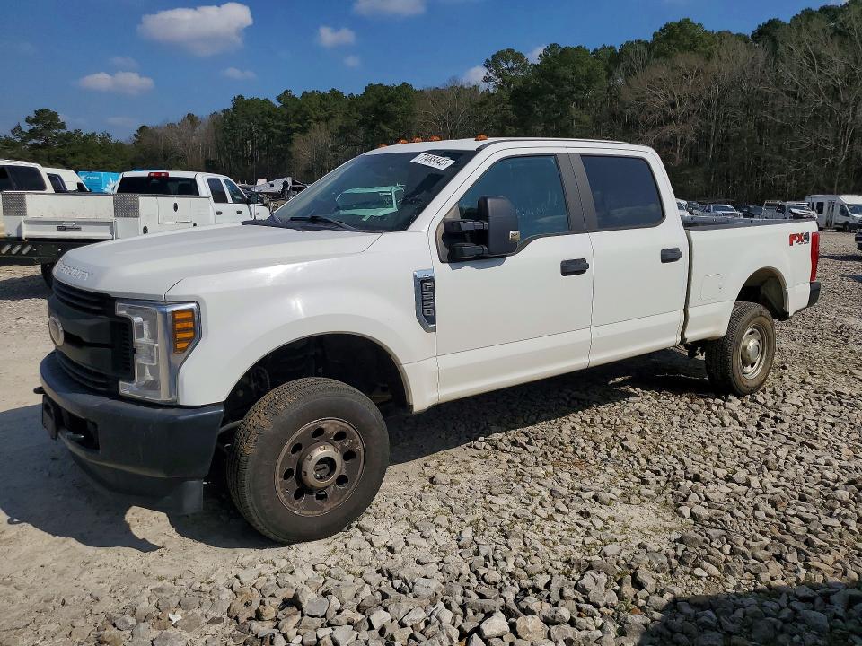 FORD F250 SUPER 2019 with VIN 1FT7W2B63KEF37137 - Photo from auction