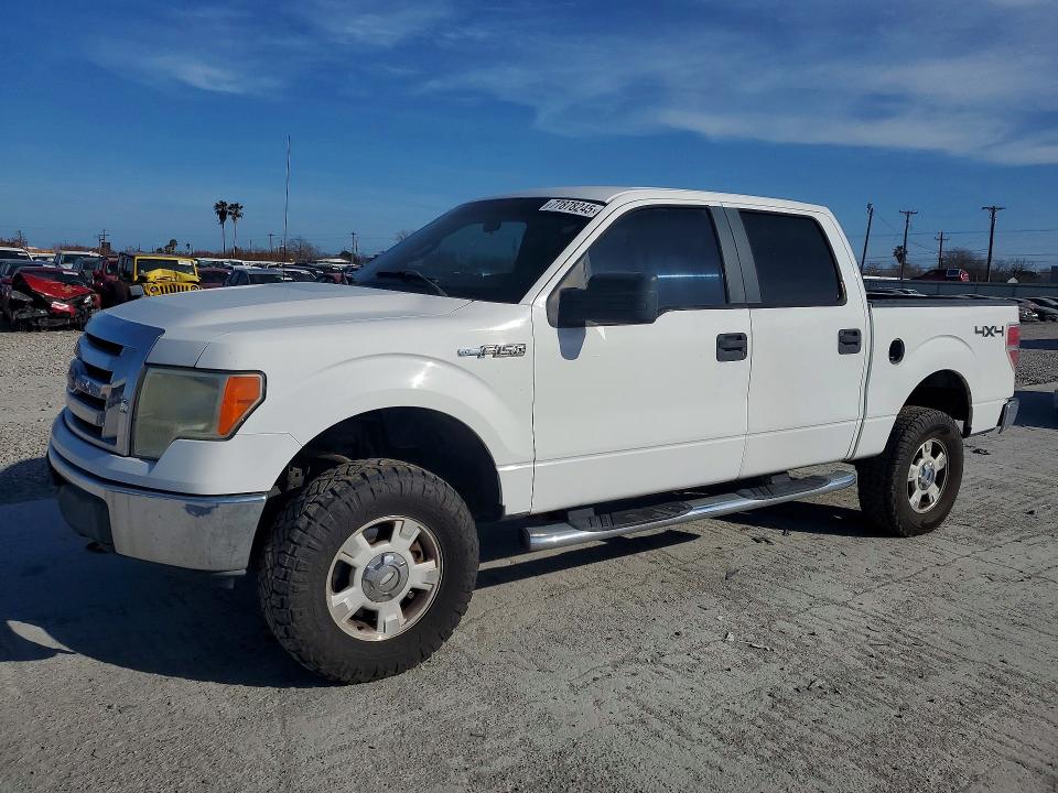 FORD F150 SUPER 2010 con VIN 1FTEW1E82AFA61213 - Foto de la subasta