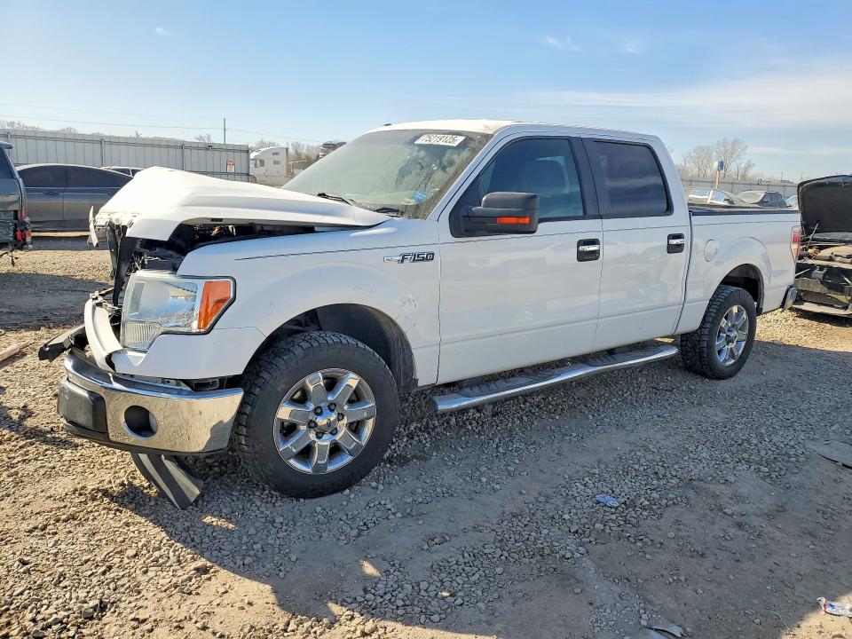 FORD F150 2013 with VIN 1FTFW1CFXDKE38856 - Photo from auction