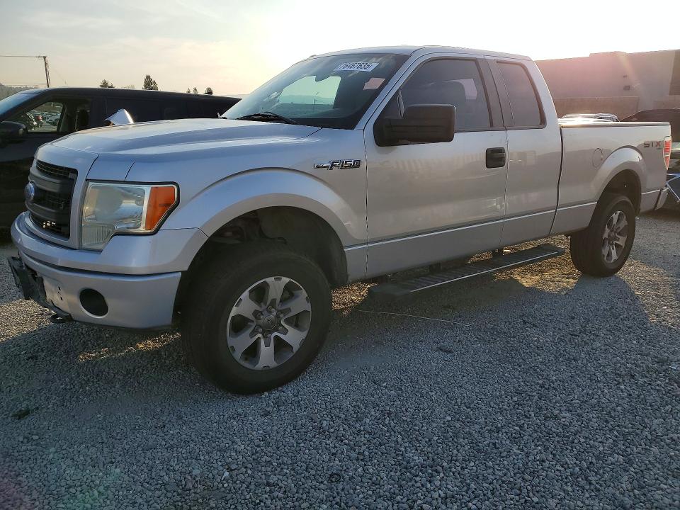 FORD F150 2013 with VIN 1FTFX1EF9DFA47345 - Photo from auction