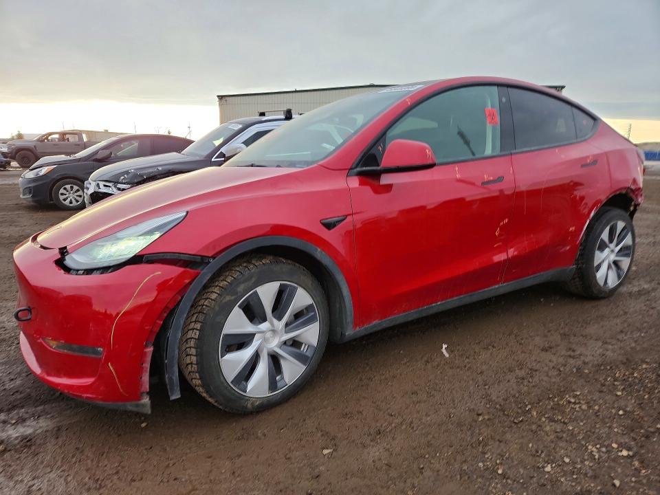 TESLA MODEL Y 2023 with VIN 7SAYGDEE1PF582828 - Photo from auction