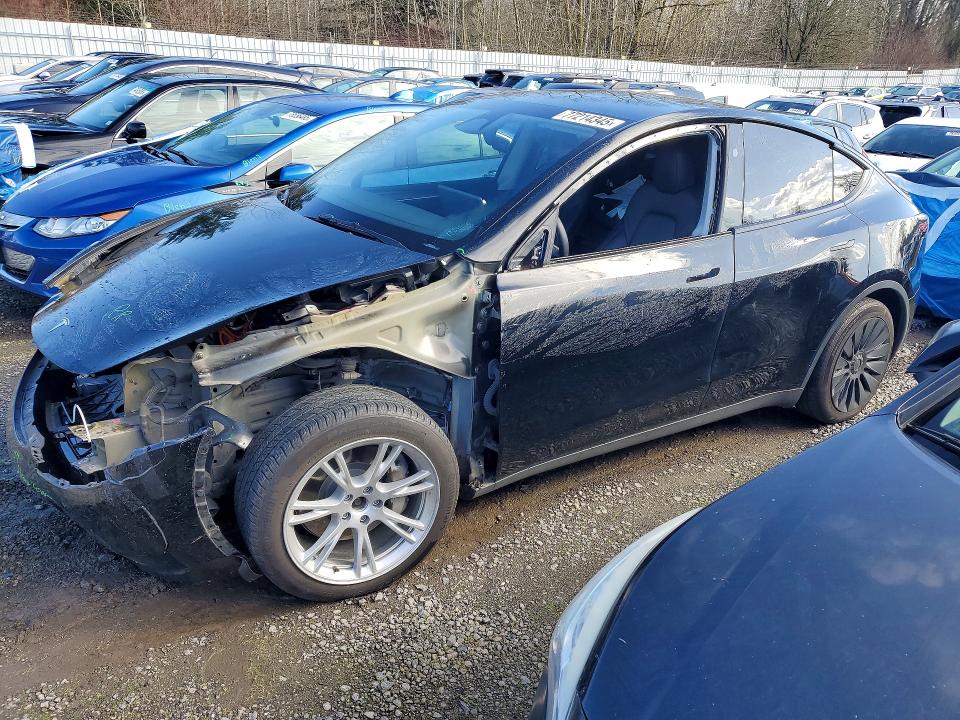 TESLA MODEL Y 2023 with VIN 7SAYGDEE8PF791287 - Photo from auction