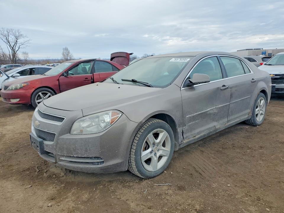 CHEVROLET MALIBU 2011 with VIN 1G1ZC5E1XBF116280 - Photo from auction