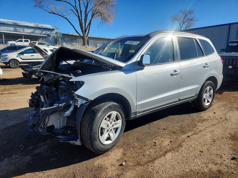 HYUNDAI SANTA FE G 2009 with VIN 5NMSG13D29H279425 - Photo from auction