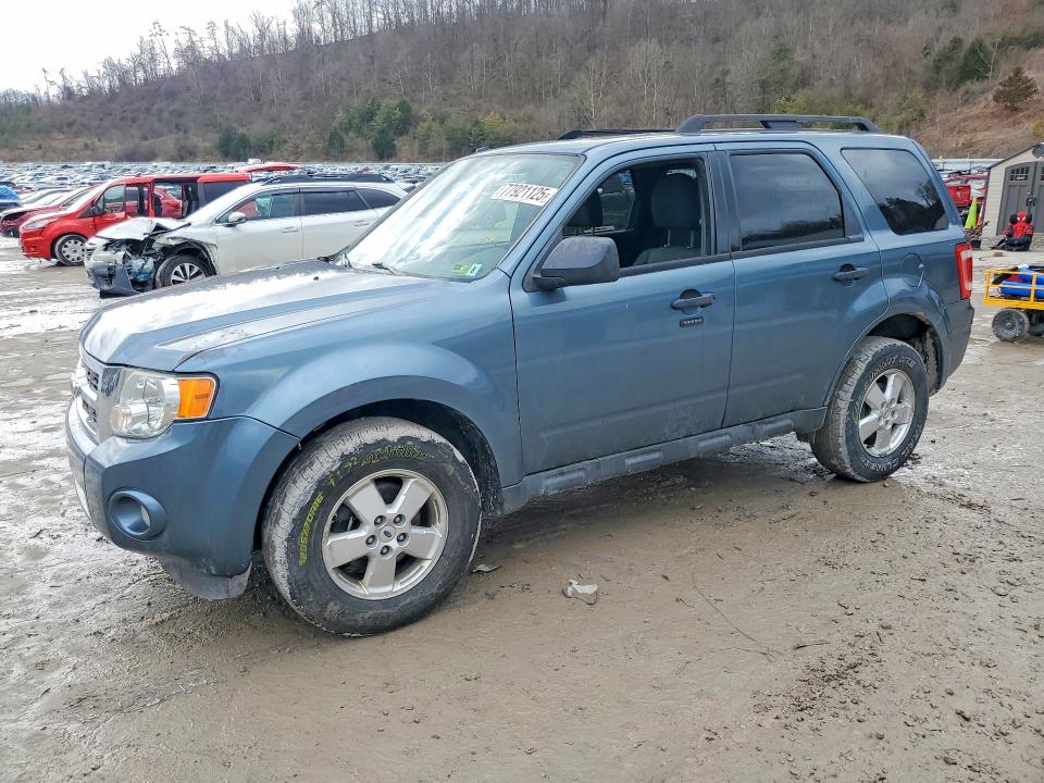 FORD ESCAPE 2010 with VIN 1FMCU9DG4AKD44011 - Photo from auction
