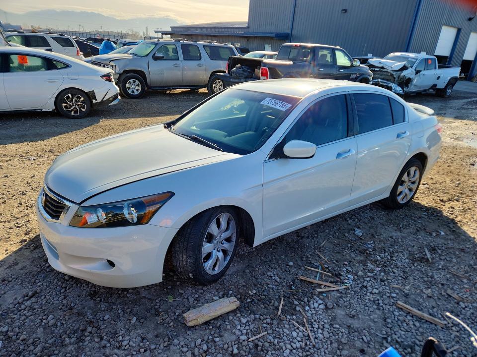 HONDA ACCORD EXL 2010 with VIN 1HGCP3F88AA022624 - Photo from auction