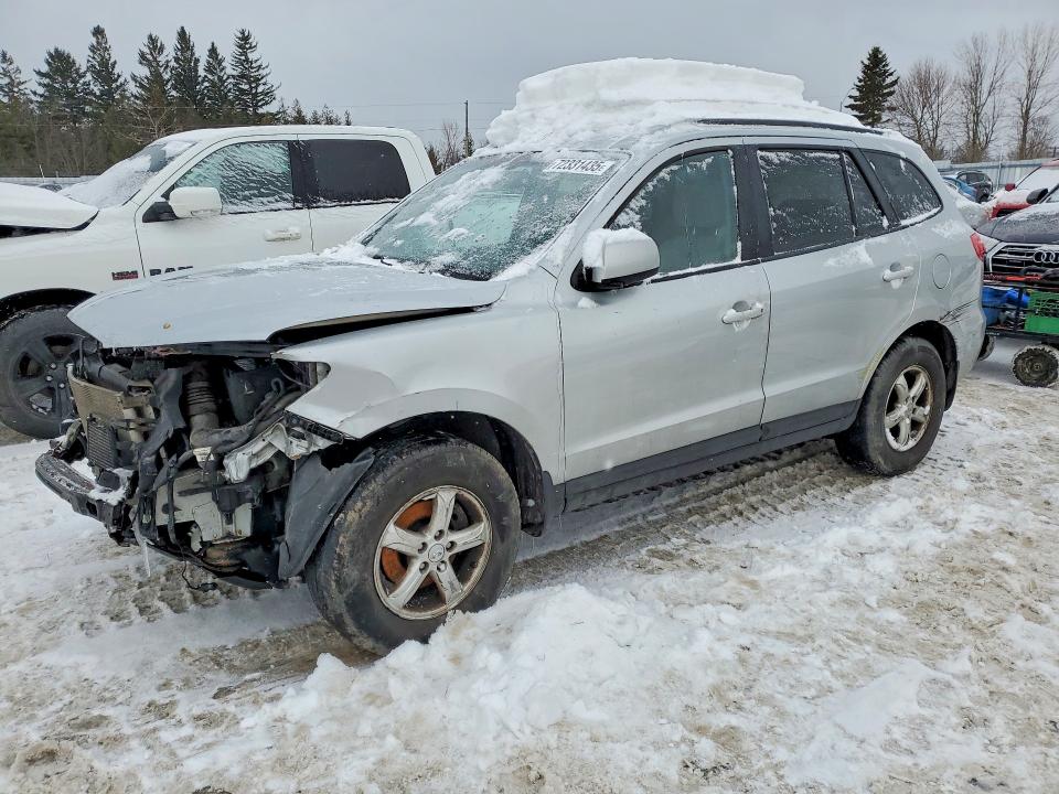 HYUNDAI SANTA FE 2009 with VIN 5NMSG13E59H309753 - Photo from auction