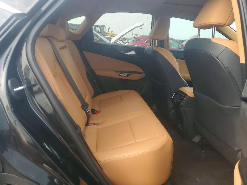 Photo 11 from auction – 2025 LEXUS NX 250 with VIN 2T2GDCAZ4SC029278