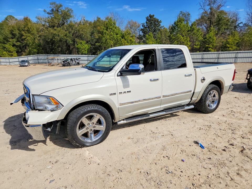 DODGE RAM 1500 2009 with VIN 1D3HV13T29J521185 - Photo from auction