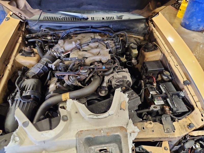 Photo 11 from auction – 2000 FORD MUSTANG with VIN 1FAFP4044YF229439
