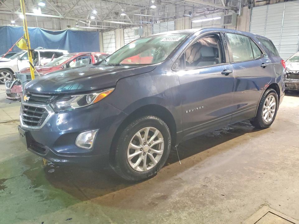 CHEVROLET EQUINOX LS 2019 with VIN 3GNAXSEV9KL241892 - Photo from auction