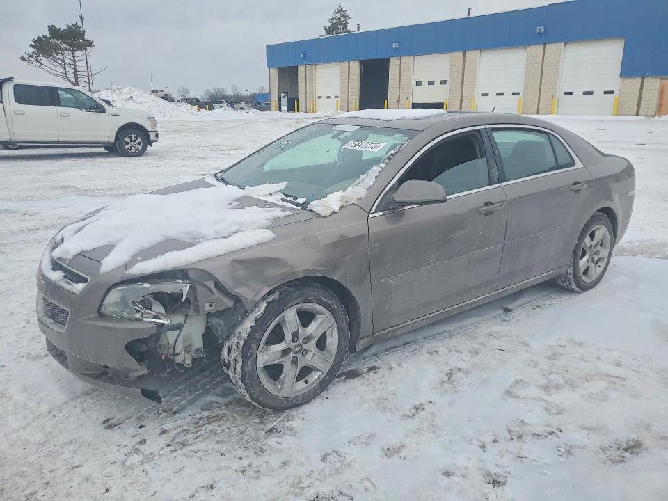 CHEVROLET MALIBU 1LT 2010 with VIN 1G1ZC5EB5AF161537 - Photo from auction