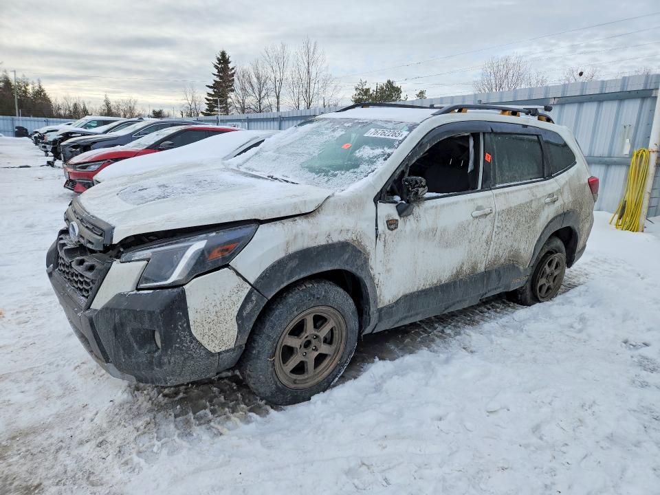 SUBARU FORESTER W 2023 with VIN JF2SKELC0PH476848 - Photo from auction