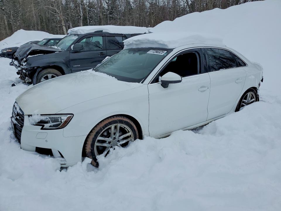 AUDI A3 2018 with VIN WAUB8GFF1J1050503 - Photo from auction