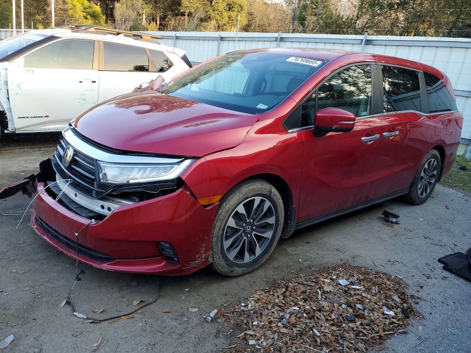 HONDA ODYSSEY 2024 with VIN 5FNRL6H69RB002161 - Photo from auction