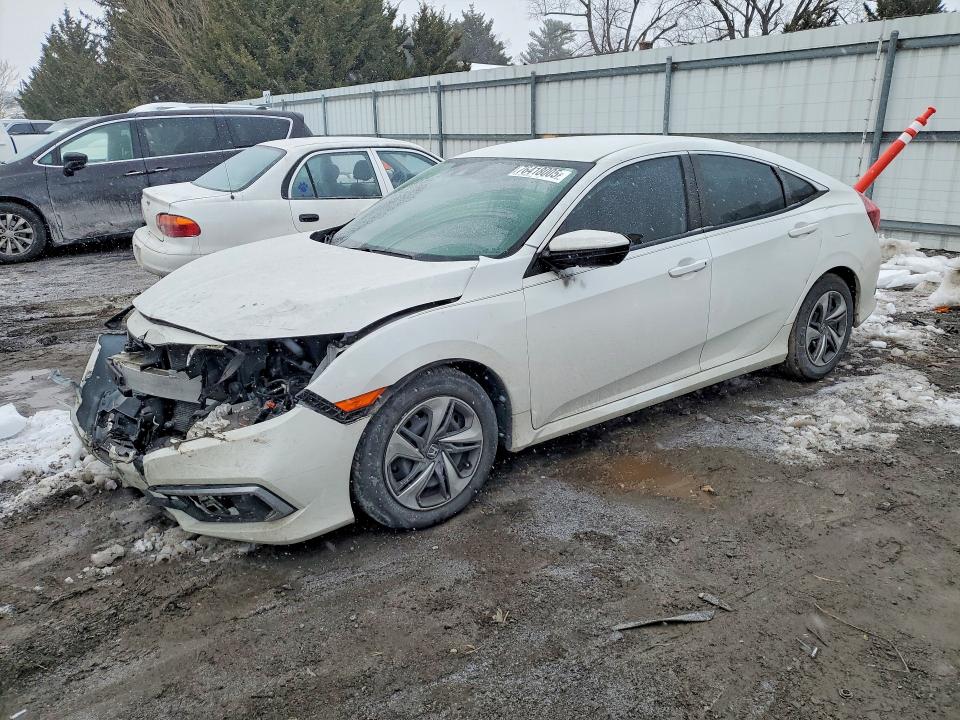 HONDA CIVIC 2020 with VIN 2HGFC2F66LH596662 - Photo from auction