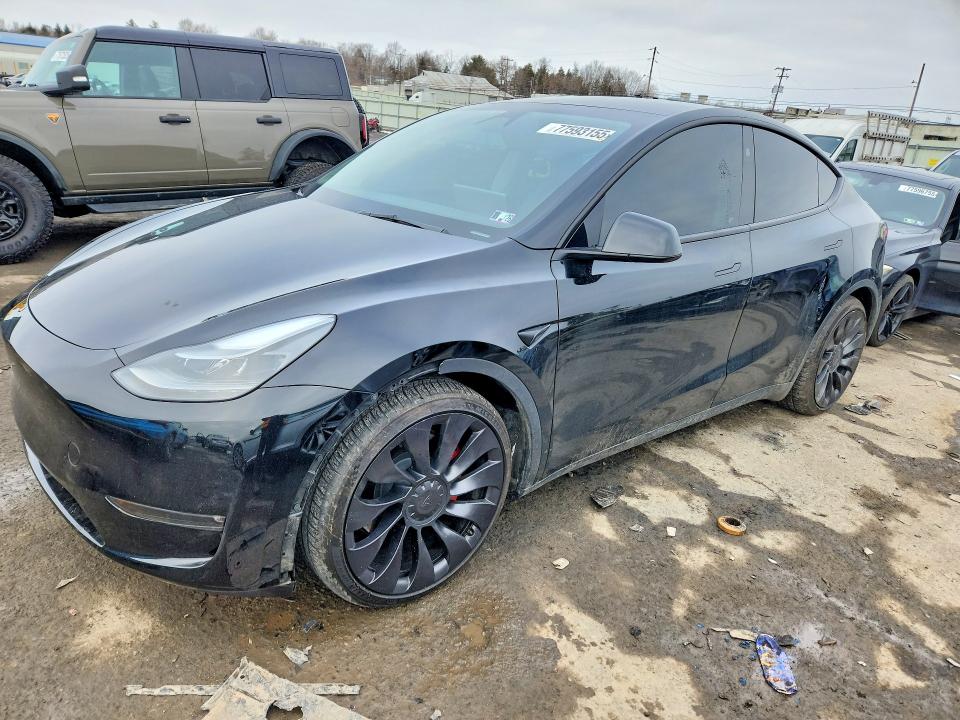 TESLA MODEL Y 2023 with VIN 7SAYGDEF1PF795304 - Photo from auction