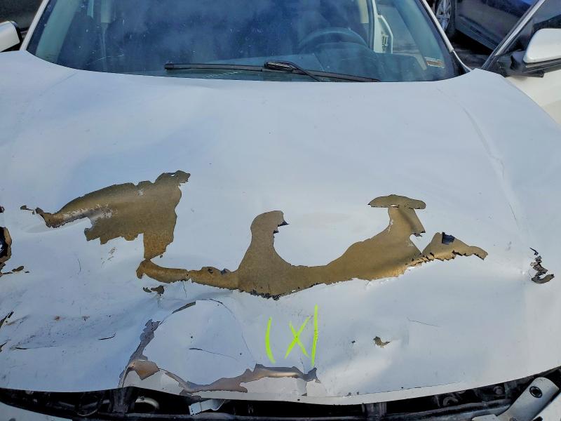 Photo 11 from auction – 2020 HONDA CIVIC with VIN 19XFC2F61LE003753