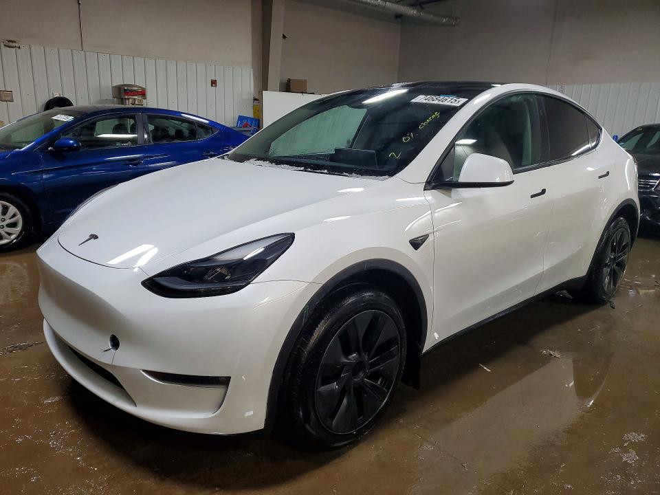 TESLA MODEL Y 2024 with VIN 7SAYGDEE0RF132980 - Photo from auction